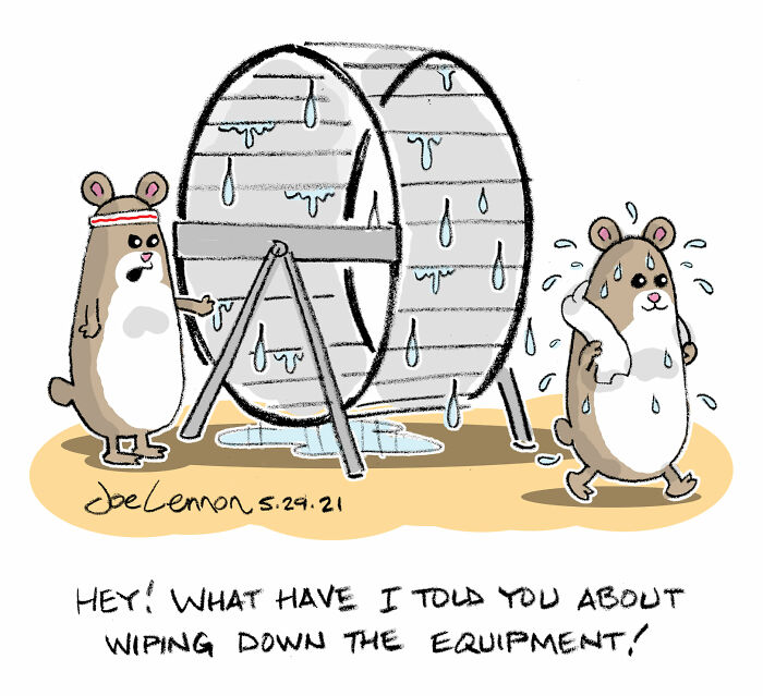 Funny single-panel cartoon by Joe Lennon showing two hamsters, one sweaty and wiping down a wet running wheel.