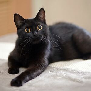 eloiseparry-jones avatar