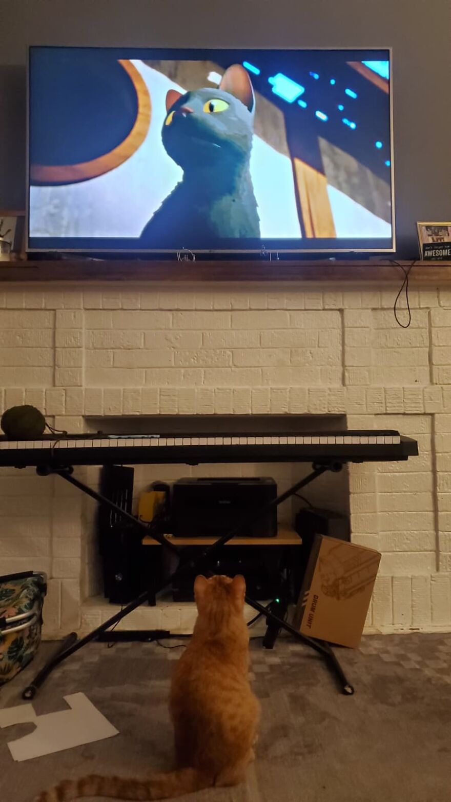 Red Loves Animal Movies