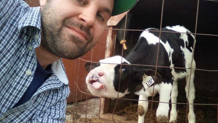 Man wearing a green cap taking a selfie with a curious black and white calf behind a wire fence.