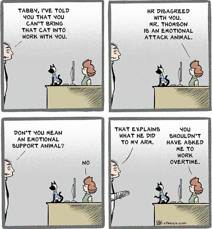 Comic shows the chaos of working in retail with a cat called an emotional attack animal causing a work injury.