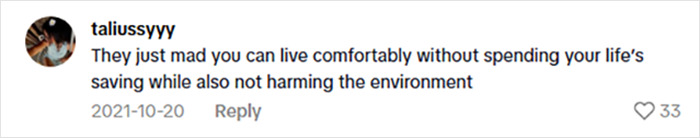 Comment from user taliussyyy discussing living comfortably without spending life savings or harming the environment related to dangerous cabin debate.