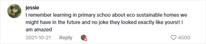 Comment praising a viral $15K cabin in the woods, noting its eco sustainable design and future home appeal.