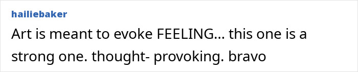Comment by user hailiebaker praising the art as strong and thought-provoking in an online discussion.