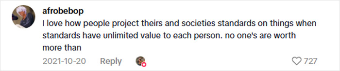Social media comment about people's views on standards and their unlimited personal value in a discussion on dangerous cabin safety.