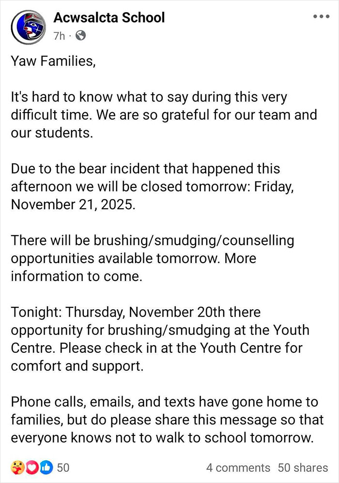 Grizzly Bear Attacks Class Of Kids, Who Are Left Desperately Fighting For Their Lives Grizzly Bear Attacks Class Of Kids, Who Are Left Desperately Fighting For Their Lives