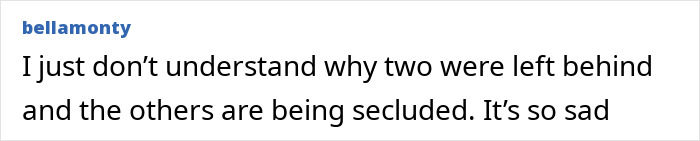 Comment on internet forum expressing confusion and sadness about the seclusion of America's most inbred family after viral fame.