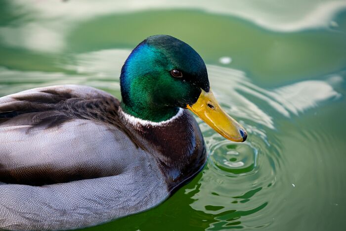 People Share 44 Facts That Completely Changed How They Think About, Well, Everything