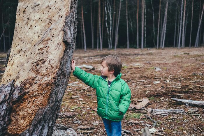Young boy in green jacket exploring nature, showing quirky behavior clearly passed down from their parents in the forest.