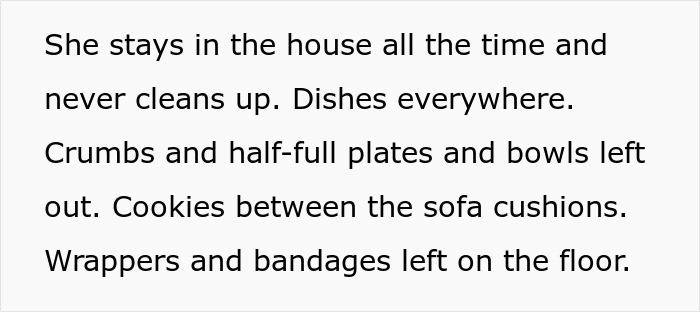 Text showing a messy house with dishes, crumbs, wrappers, and bandages left out, highlighting a clean-up fee dispute.