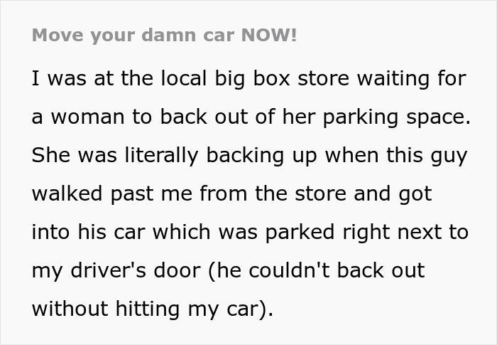 Text excerpt describing a parking lot psycho attacking a man's car with a shopping cart over waiting.