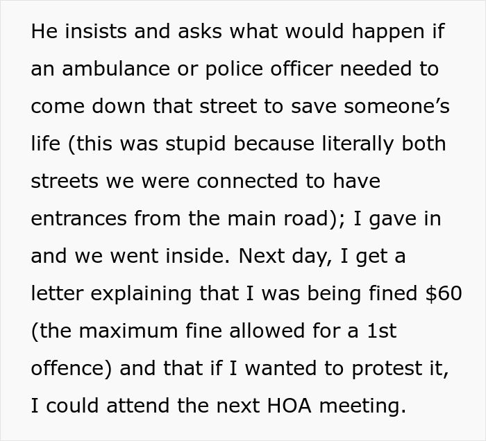 Man confronting stalkerish HOA president, uncovering secrets, and winning a court case against unfair fines and harassment.
