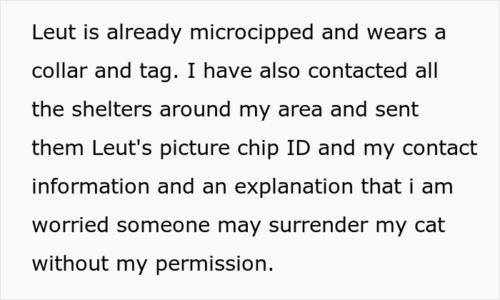 Pregnant Daughter Decides To Put Dad&rsquo;s Cat In A Shelter Because Of Her Baby&rsquo;s Safety, Gets Kicked Out