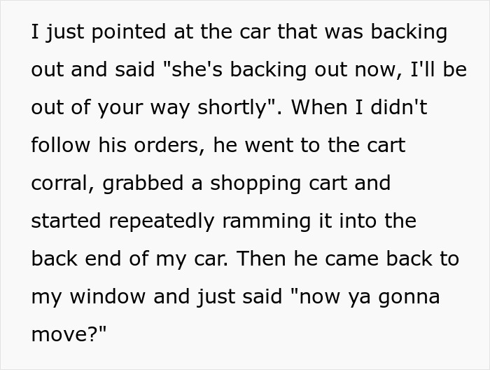 Man attacks car with shopping cart in parking lot after waiting for 30 seconds causes damage and confrontation.