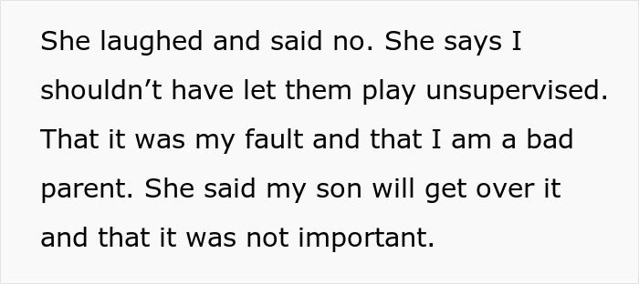 Text excerpt showing a woman took back nephew's Christmas gift after a dispute about unsupervised play and parenting fault.
