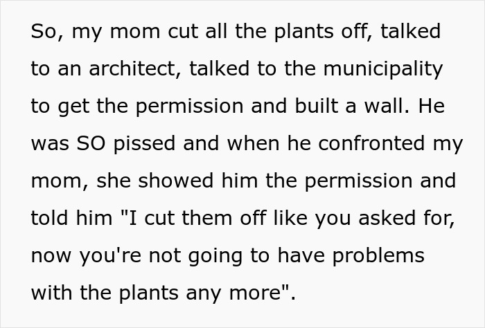 Text excerpt describing a lady cutting her plant wall and gifting a charming view of pure concrete to her neighbor. Text excerpt describing a lady cutting her plant wall and gifting a charming view of pure concrete to her neighbor.