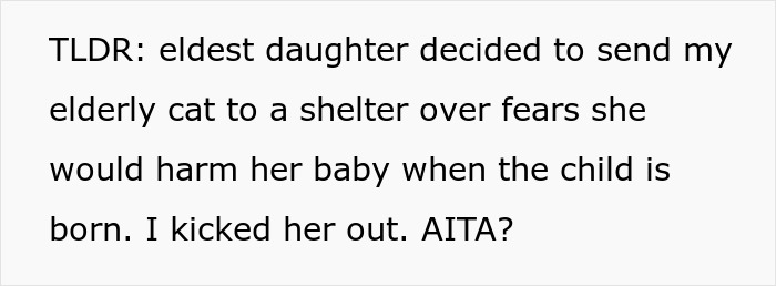 Pregnant Daughter Decides To Put Dad&rsquo;s Cat In A Shelter Because Of Her Baby&rsquo;s Safety, Gets Kicked Out