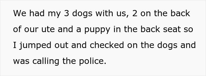 Man upset as nurse girlfriend prioritizes dogs and baby after car crash, checking on pets while calling the police.