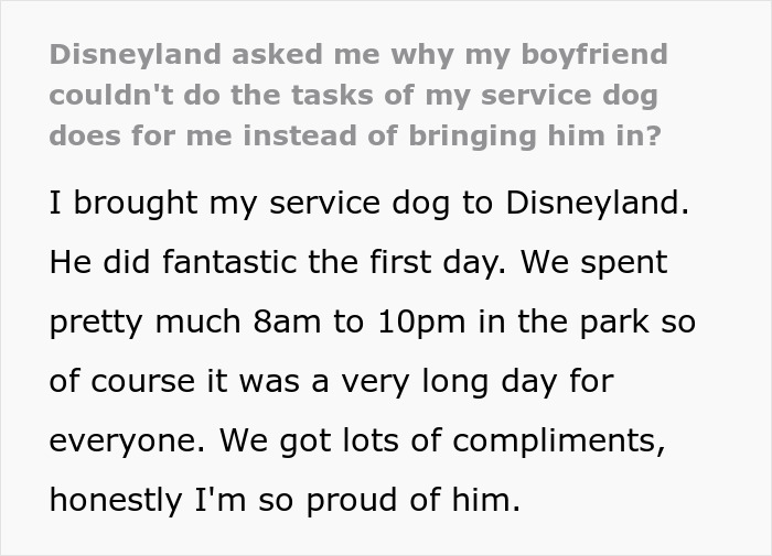 Woman explains Disneyland security questions about bringing her service dog instead of relying on her boyfriend during a long park visit.