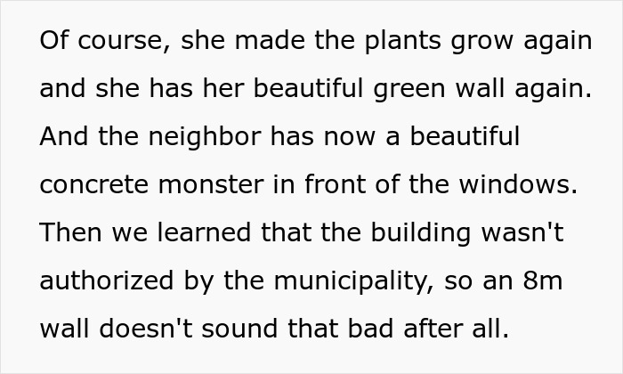 Woman gifts neighbor a charming view of pure concrete after he demands she cut her plant wall. Woman gifts neighbor a charming view of pure concrete after he demands she cut her plant wall.