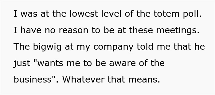 Text excerpt from a female software developer expressing confusion about being invited to client meetings as a pretty face. Text excerpt from a female software developer expressing confusion about being invited to client meetings as a pretty face.