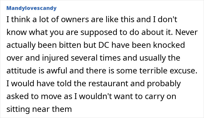 Comment discussing negligent dog owners and the impact of dog bites on children and bystanders’ safety concerns. Comment discussing negligent dog owners and the impact of dog bites on children and bystanders’ safety concerns.
