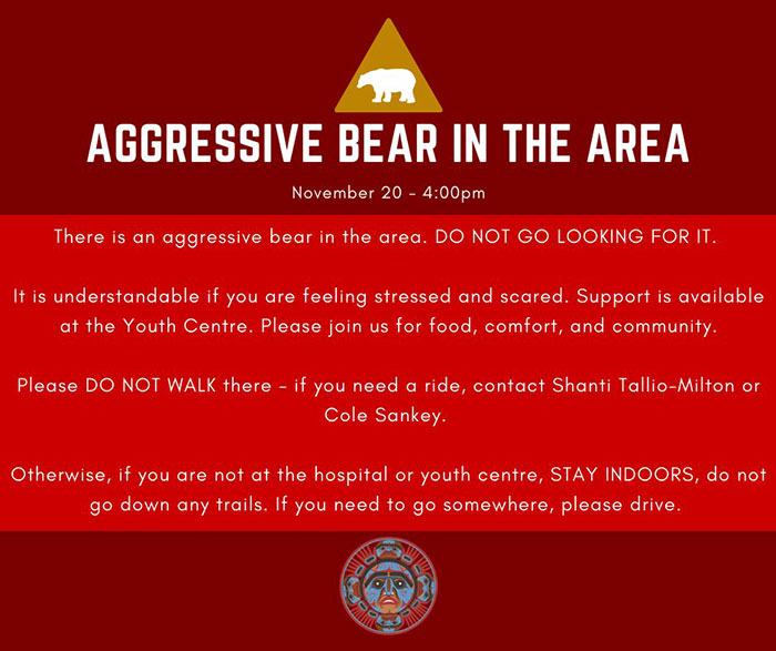Grizzly Bear Attacks Class Of Kids, Who Are Left Desperately Fighting For Their Lives Grizzly Bear Attacks Class Of Kids, Who Are Left Desperately Fighting For Their Lives