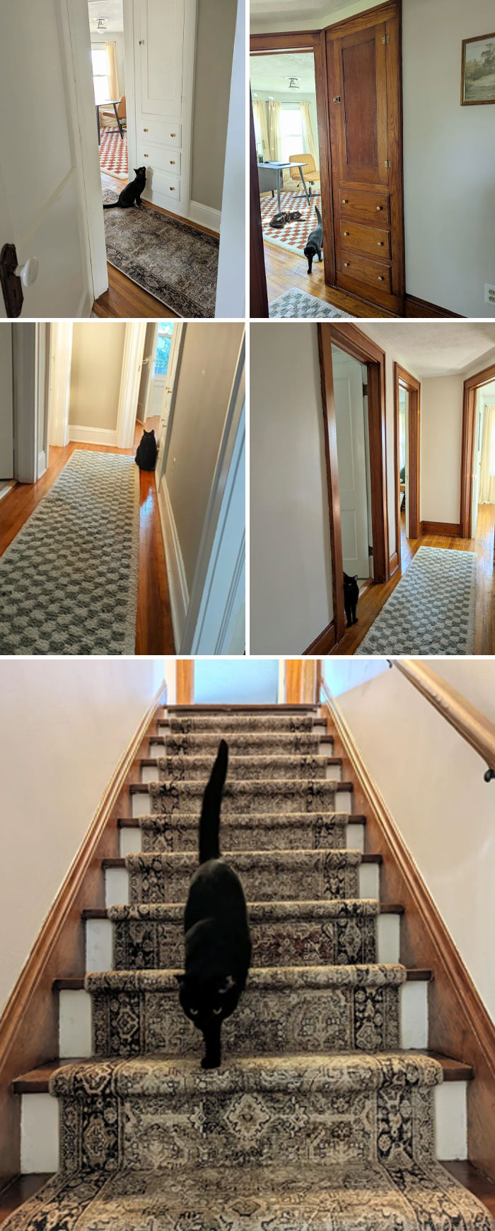 Interior views of beautiful old houses showcasing detailed wood craftsmanship and vintage built-in cabinetry.