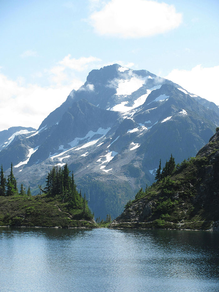 Grizzly Bear Attacks Class Of Kids, Who Are Left Desperately Fighting For Their Lives Grizzly Bear Attacks Class Of Kids, Who Are Left Desperately Fighting For Their Lives