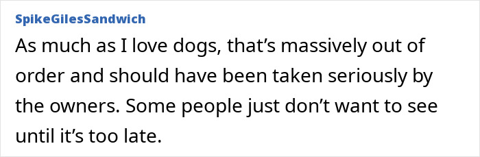 User comment expressing concern over negligent dog owners failing to prevent their dog from biting a child. User comment expressing concern over negligent dog owners failing to prevent their dog from biting a child.