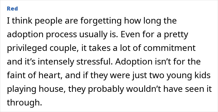 Text excerpt showing a discussion on the challenges and commitment involved in the adoption process. Text excerpt showing a discussion on the challenges and commitment involved in the adoption process.