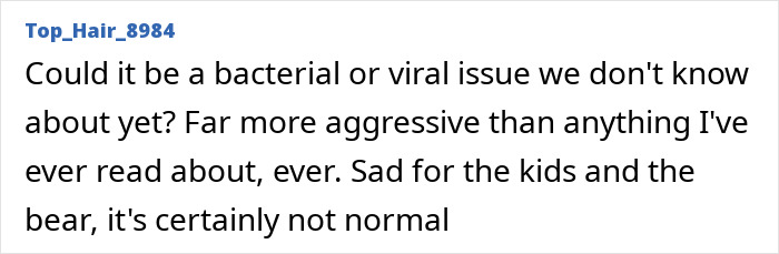 Grizzly Bear Attacks Class Of Kids, Who Are Left Desperately Fighting For Their Lives Grizzly Bear Attacks Class Of Kids, Who Are Left Desperately Fighting For Their Lives