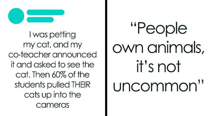 70 Times People Tried To Call Out Others For Lying Online, But Their Stories Were Actually True