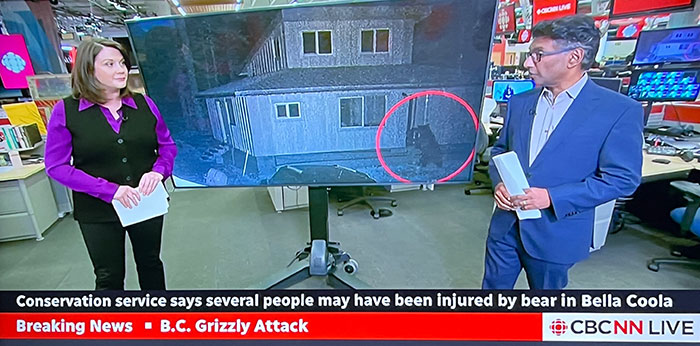 Grizzly Bear Attacks Class Of Kids, Who Are Left Desperately Fighting For Their Lives Grizzly Bear Attacks Class Of Kids, Who Are Left Desperately Fighting For Their Lives