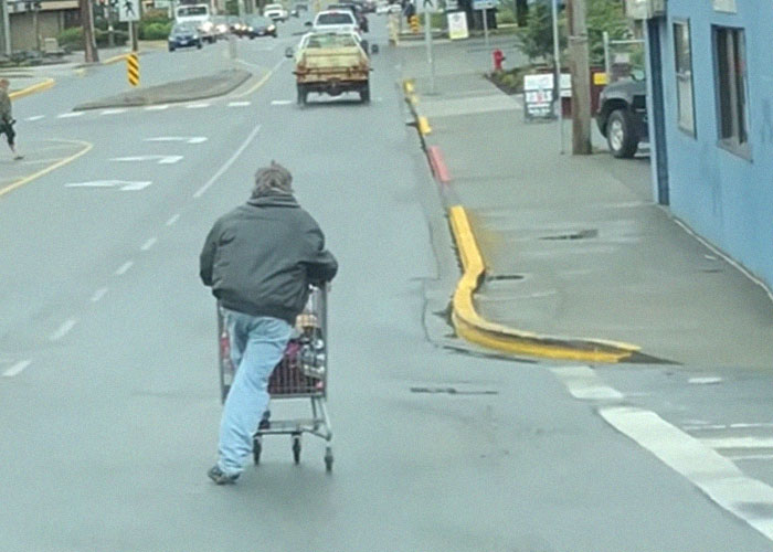 Person pushing a shopping cart down a busy urban street, creating a chaotic scene witnessed by many.