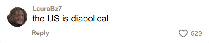 User comment on social media post stating the US is diabolical, reflecting frustration related to pay for ambulance rides.