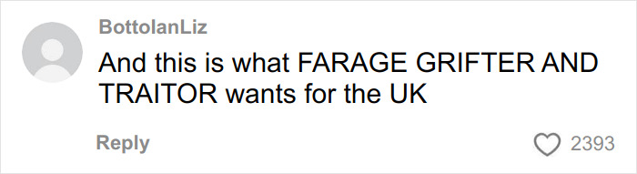 Comment by BottolanLiz discussing controversial political opinions related to pay for ambulance rides in America.