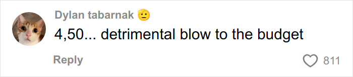 Comment from Dylan tabarnak with a cat profile picture saying 4,50 detrimental blow to the budget on a social media post.