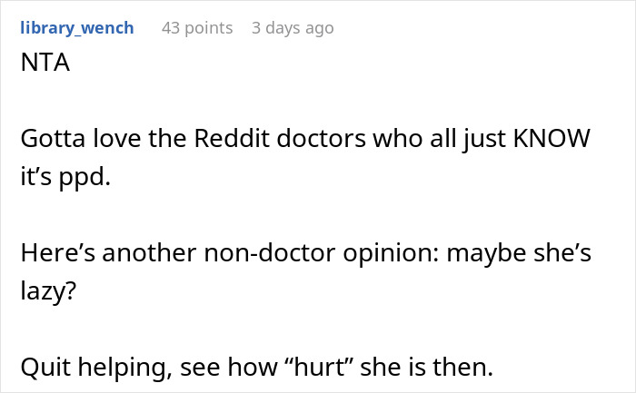 Screenshot of a Reddit comment debating stay-at-home mom responsibilities and questioning if laziness is involved.