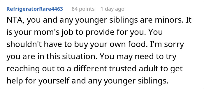 Screenshot of a Reddit comment discussing a 17-year-old calling out mom for retiring from parenting and kids buying their own food.