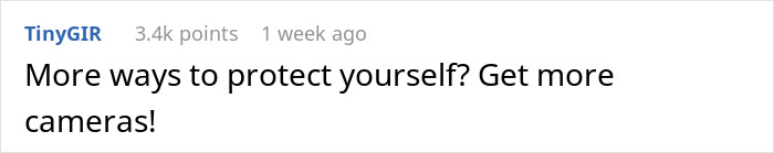 Screenshot of an online comment suggesting more cameras to protect against kids using neighbor&rsquo;s yard without permission.