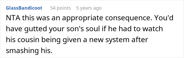 Comment on Reddit explaining why the woman took back her nephew's Christmas gift after he smashed her son's.