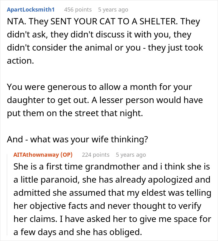 Pregnant Daughter Decides To Put Dad&rsquo;s Cat In A Shelter Because Of Her Baby&rsquo;s Safety, Gets Kicked Out