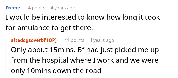 Screenshot of a Reddit conversation about a car crash involving a nurse girlfriend prioritizing dogs and a baby.