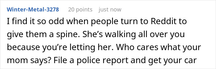 Screenshot of a Reddit comment discussing a lady borrowing a car for one hour but keeping it for days and calling her sister pushy. Screenshot of a Reddit comment discussing a lady borrowing a car for one hour but keeping it for days and calling her sister pushy.