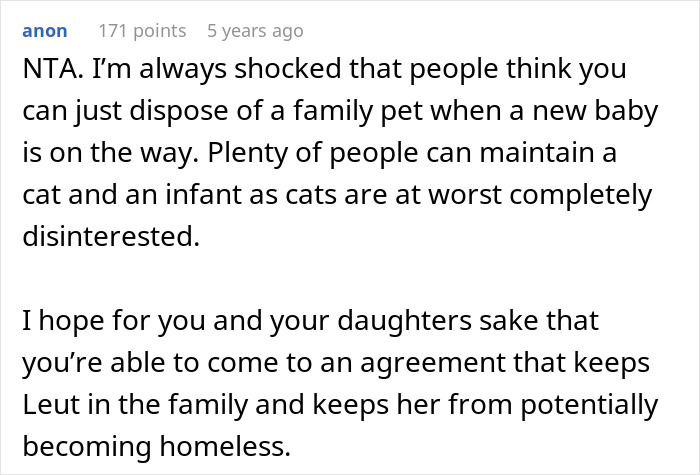 Pregnant Daughter Decides To Put Dad&rsquo;s Cat In A Shelter Because Of Her Baby&rsquo;s Safety, Gets Kicked Out