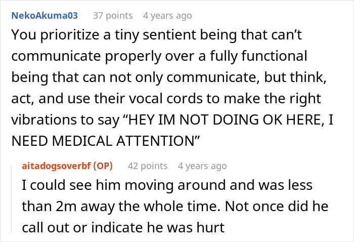 Screenshot of a Reddit conversation debating a nurse girlfriend prioritizing dogs and a baby during a car crash incident.