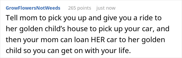 Comment discussing a sister borrowing a car for one hour but keeping it for days, calling sibling pushy for asking it back. Comment discussing a sister borrowing a car for one hour but keeping it for days, calling sibling pushy for asking it back.