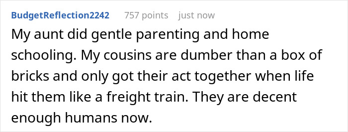 Comment about aunt using sister gentle parenting house methods and its impact on cousins&rsquo; development.