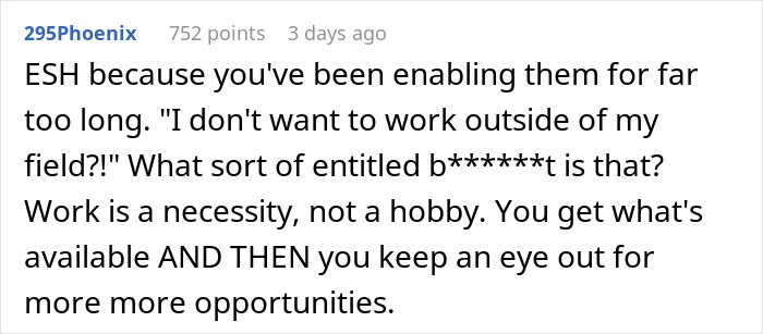 Commenter 295Phoenix with 752 points discussing work responsibility and enabling behavior in husband retirement children finances context.